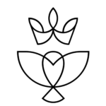 Exclusive Collection