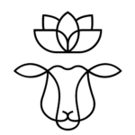 Exclusive Collection